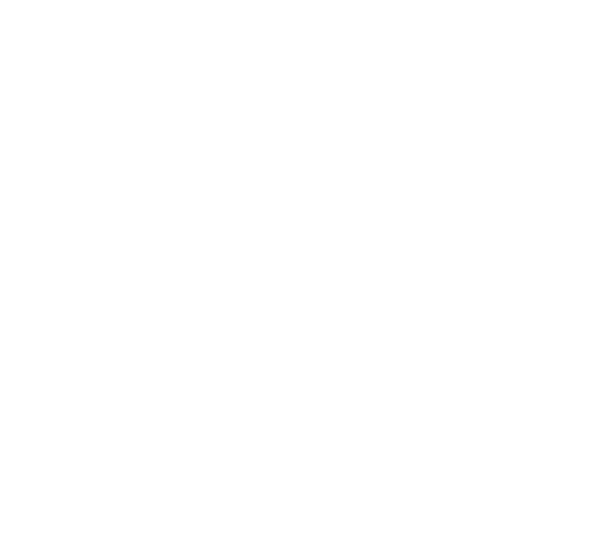 safe-secure