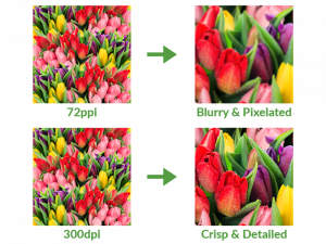 Image resolution, DPI, print quality, graphic design, Melbourne Print