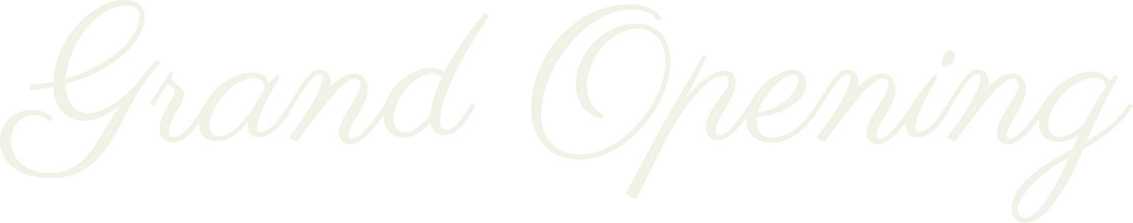 Grand Opening