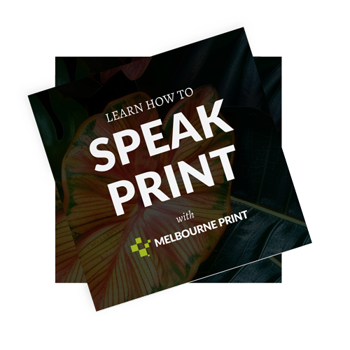 Front cover of 'Learn to Speak Print' guide