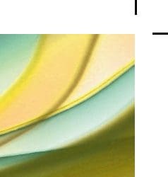 Why bleed area matters in digital print?