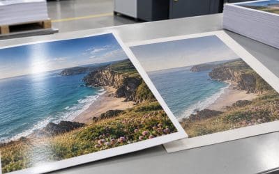 Silk vs Uncoated Paper: Which Should You Choose?